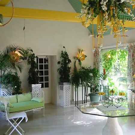 Domaine Des Etangs De Bois Robert * Bécon-les-Granits