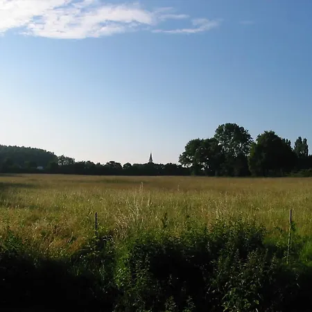 Domaine Des Etangs De Bois Robert Becon-les-Granits