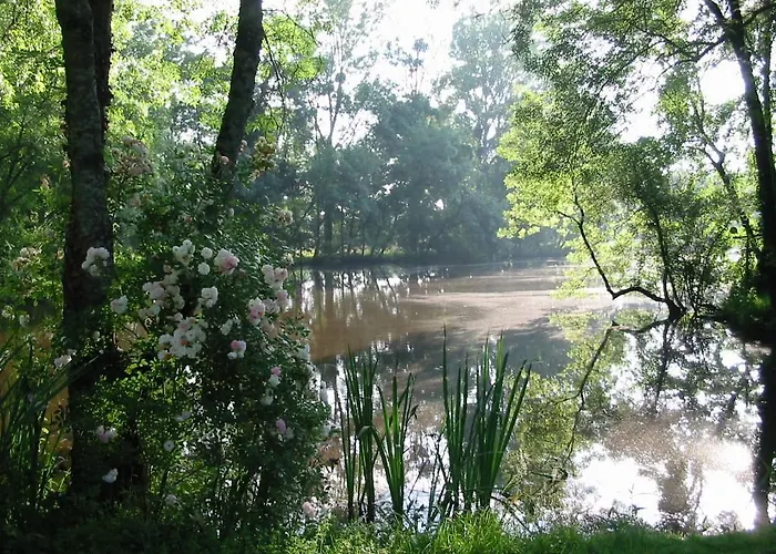 Domaine Des Etangs De Bois Robert *