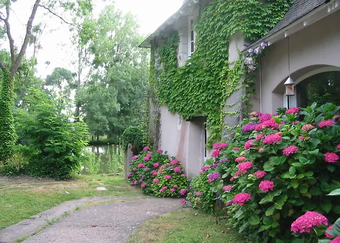 Bed & Breakfast Domaine Des Etangs De Bois Robert Bécon-les-Granits