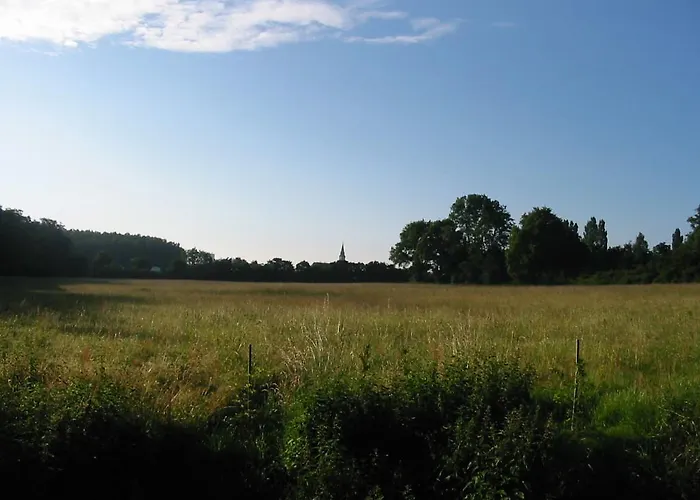 Domaine Des Etangs De Bois Robert Becon-les-Granits